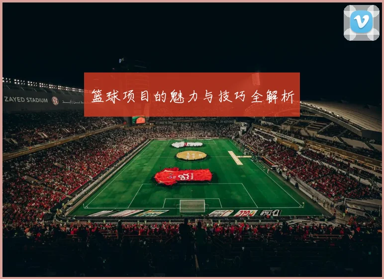 篮球项目的魅力与技巧全解析
